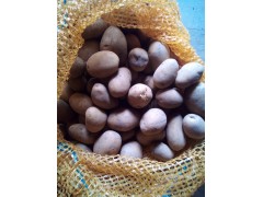 Pommes de terre Grenailles (2kg)
