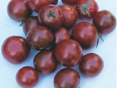 Graines de Tomate cerise 'Black Cherry'