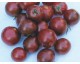 Graines de Tomate cerise 'Black Cherry'