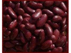 Haricots rouges AB vrac (~5,70€/kg)